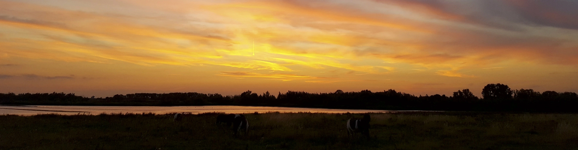 Vaaragenda van Biesbosch Beleven