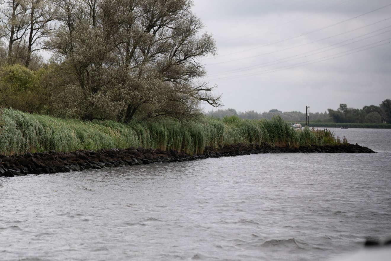 Fluistertocht door de Biesbosch